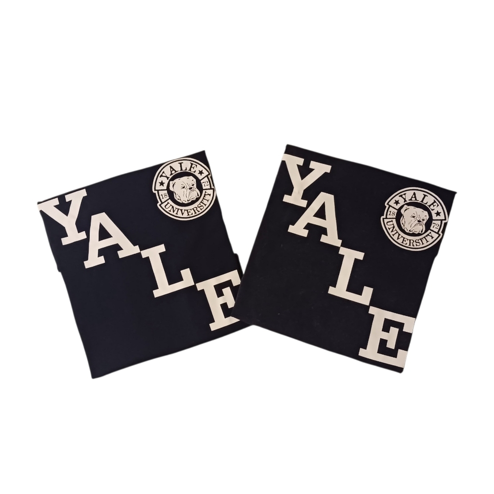 YALE University Bulldogs Spellout Logo Crewneck Tee (Boxy L & XL)